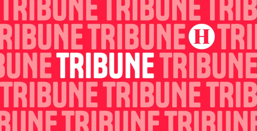 Vignette_2024_tribune_97bbf4_4d4438